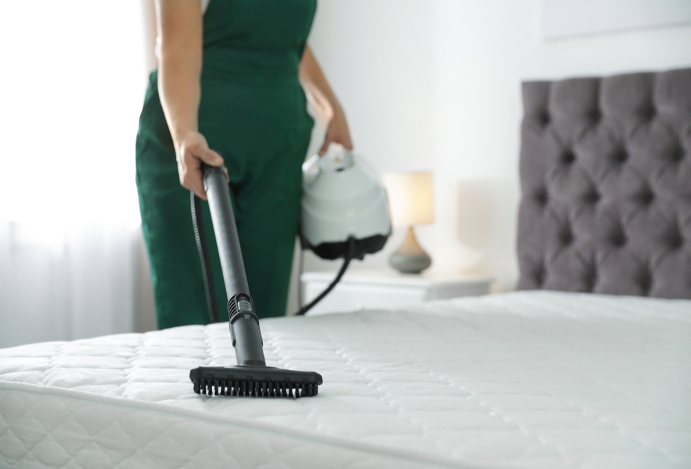 Why should I have my mattress professionally cleaned?
