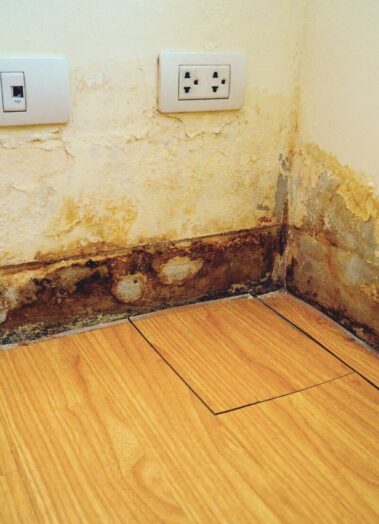 Water Damage Ruin Your Life