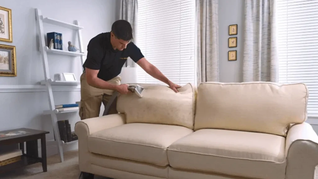 How Often Should You Clean Your Sofa? Expert Advice