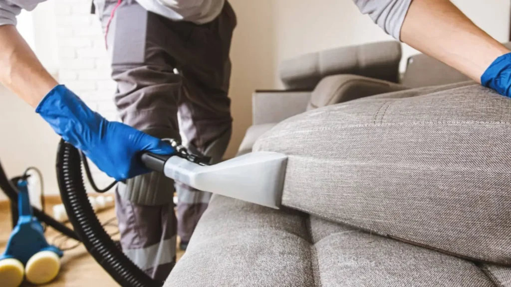 The Science Behind Sofa Cleaning: How to Keep Your Couch Germ-Free