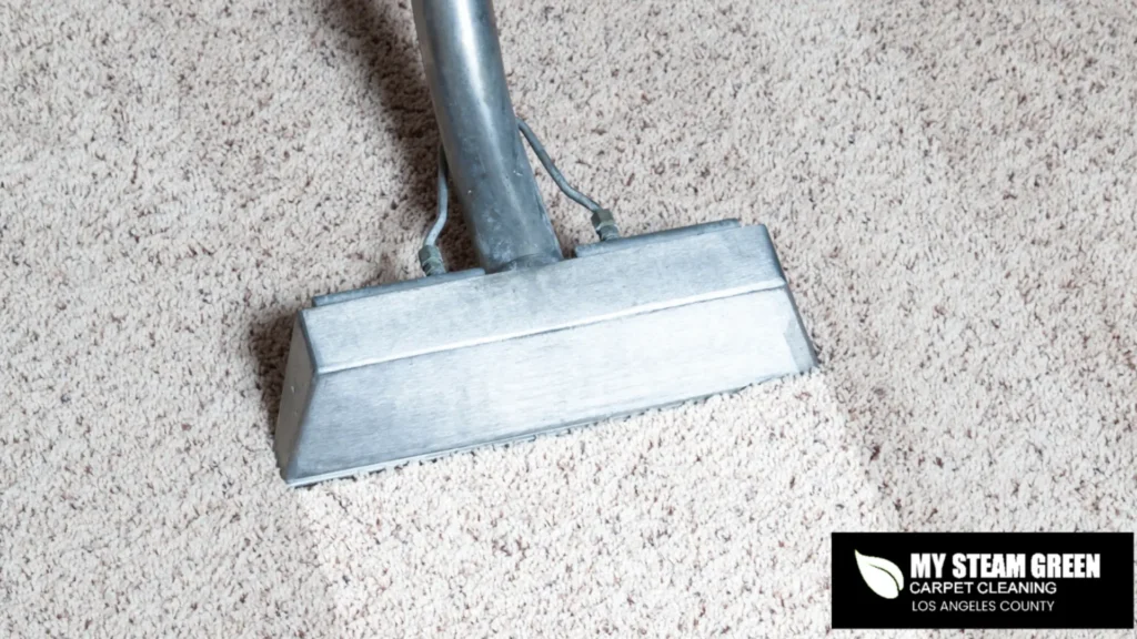 Discover the Hidden Benefits of Professional Carpet Cleaning